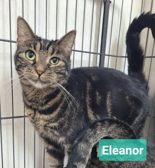 Eleanor