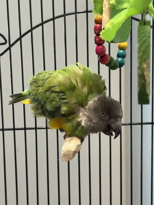 Ethel