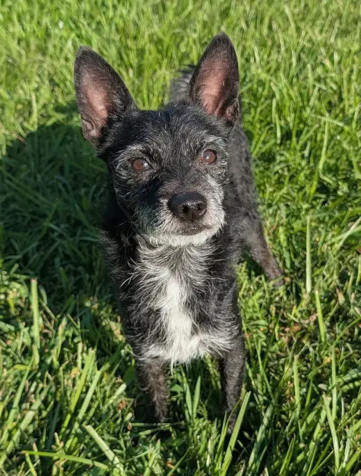 Luke- little Luke, big personality