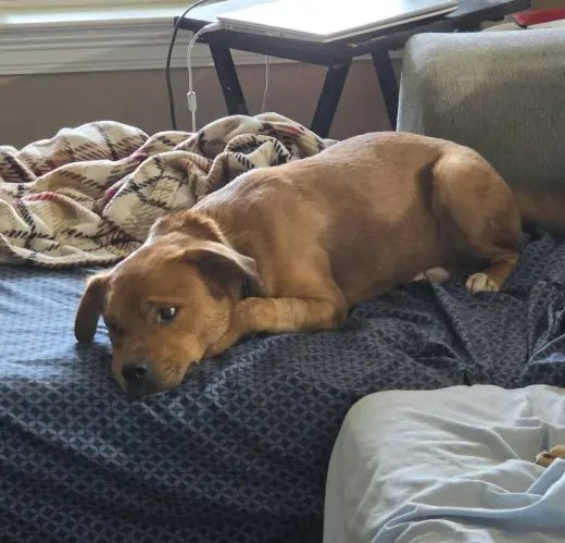 Slugger- looking for his second chance