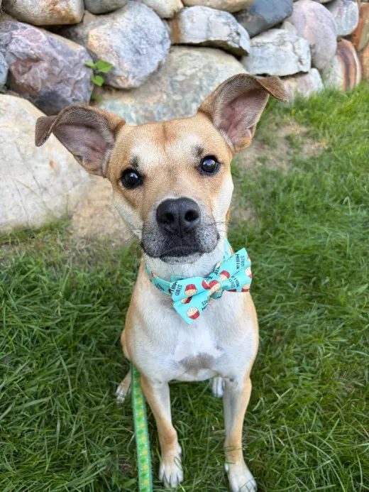 Blake-in a foster home