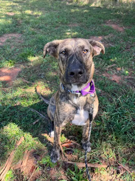 Wiley: At shelter