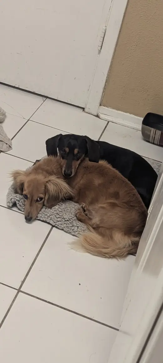 Oscar
