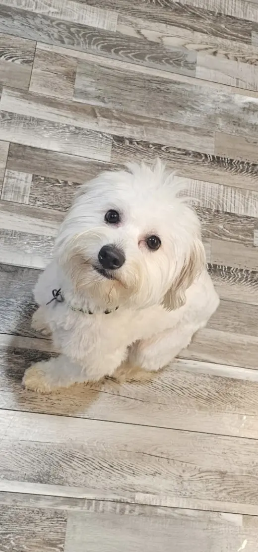 Coco Boy -Too cool for cocoa!