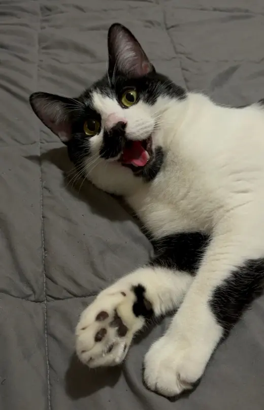 Pepper