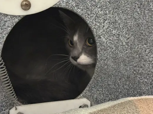 LUNA