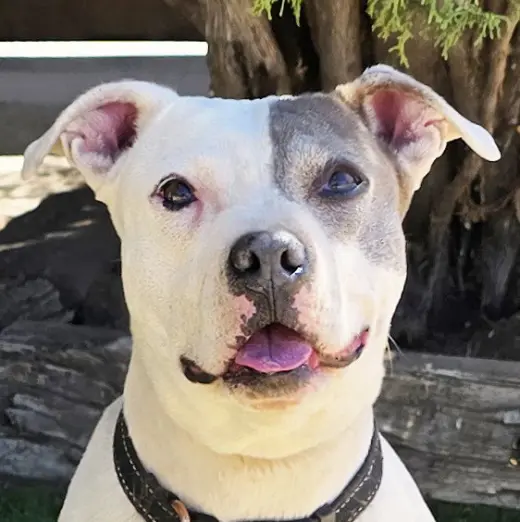 Beautiful Ms Babe ~ Petite Sweetie Pie !