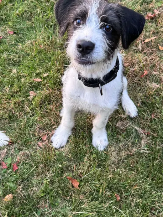 Sokka