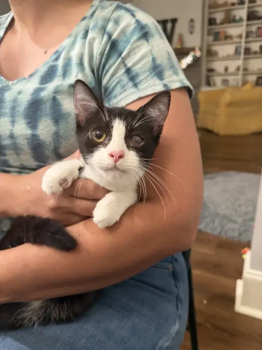 Odette (Available for pre-adoption)