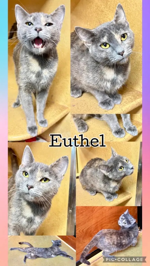 EUTHEL