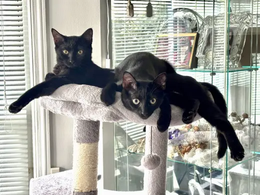 Vito & Zita