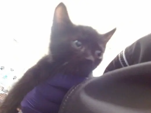 BINX