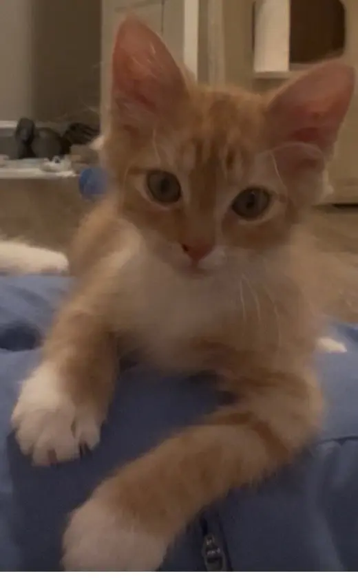 Jerry