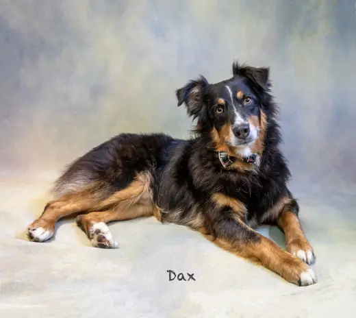 Dax