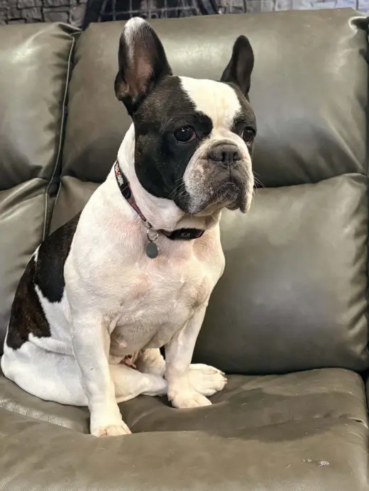 Ellie