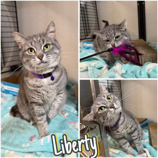Liberty