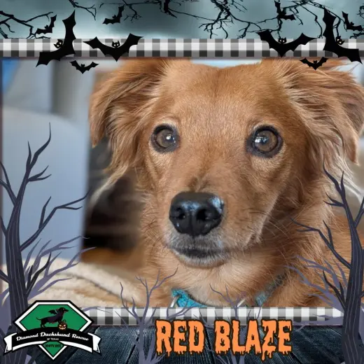 Red Blaze
