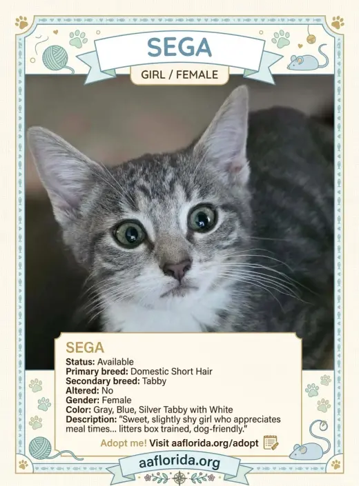 Sega