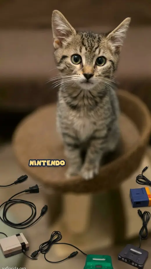 Nintendo