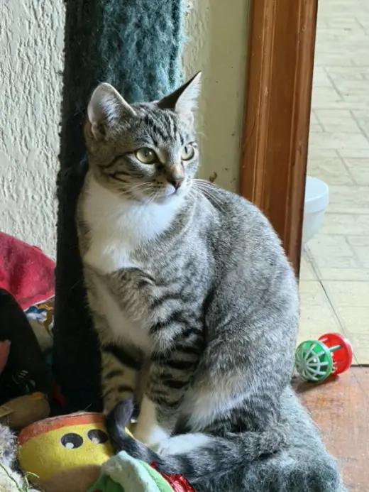 Penny