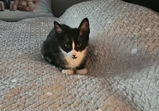 Luna 11.22.23