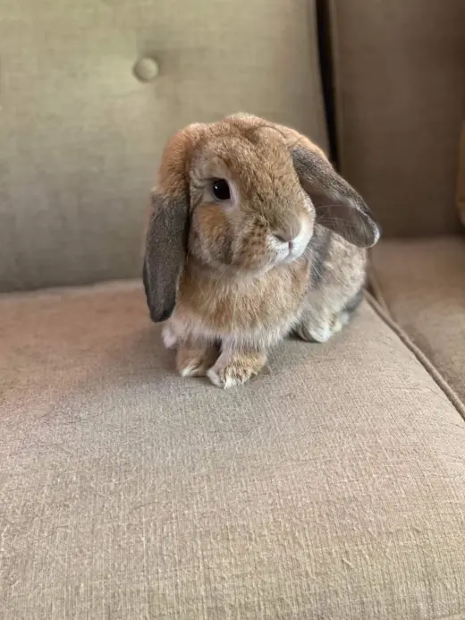 Reginald AKA "Regi"