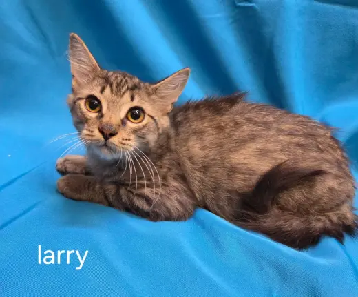 Larry