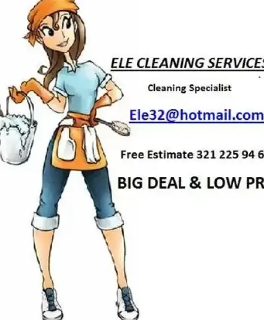 Ele cleaning services