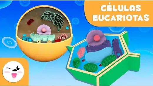 Clases de química y bioquímica