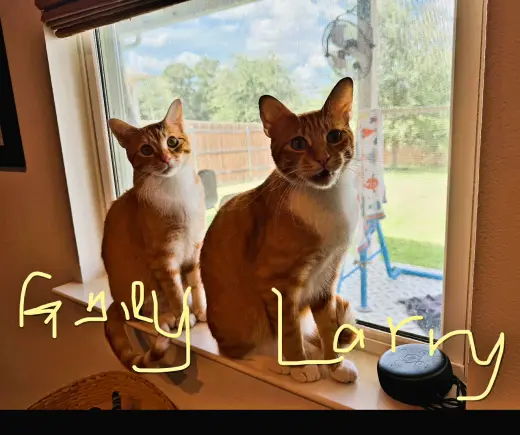 Larry & Gary