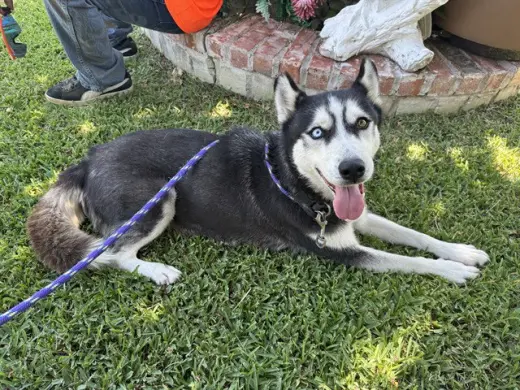 LUNA
