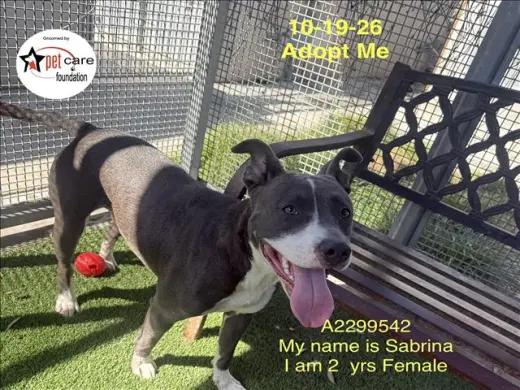 SABRINA