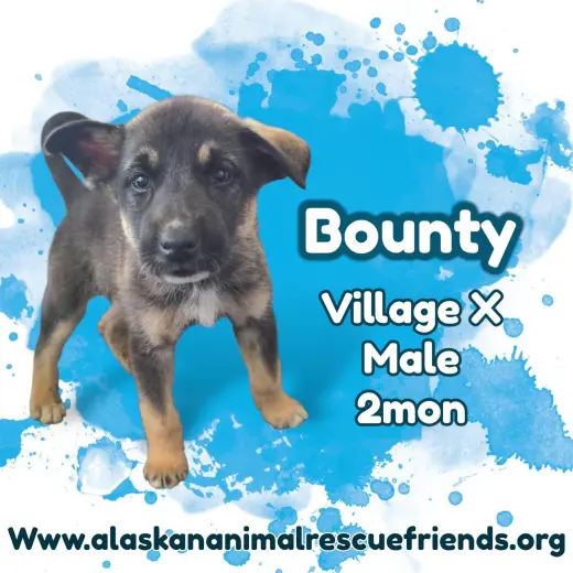 Bounty