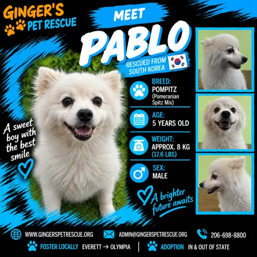 Pablo From Korea