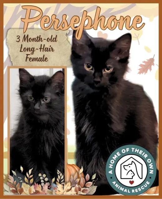 Persephone
