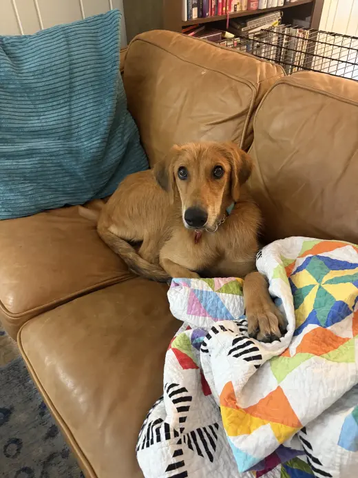 Toffee