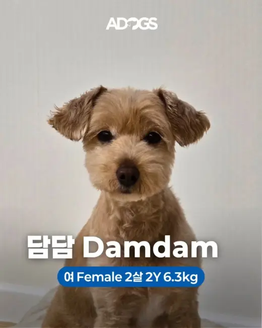 DAMDAM