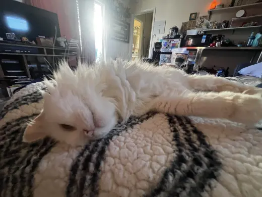 Delilah