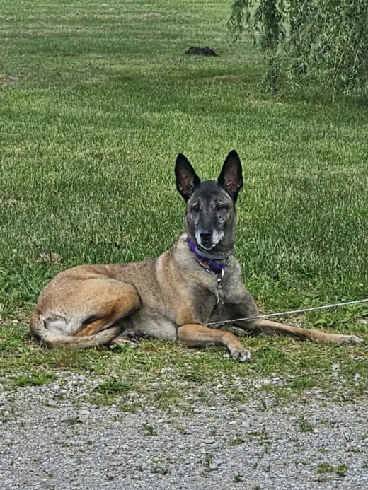 Tilly Female, SC.