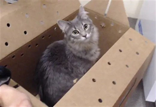 NALA
