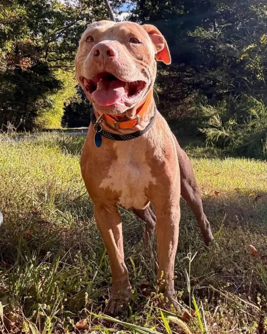 Ernie