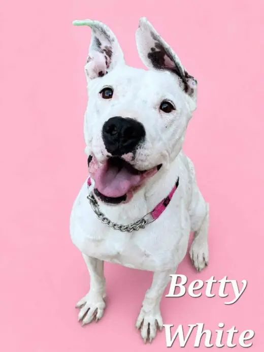 Betty White