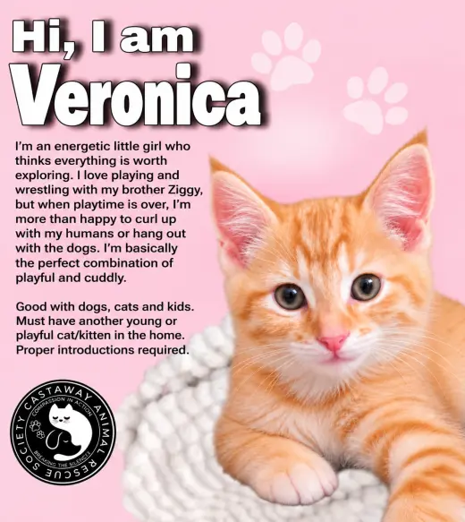 Veronica