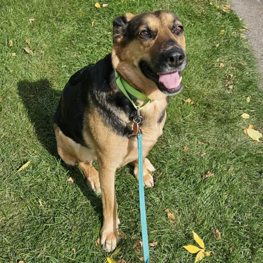 Delilah