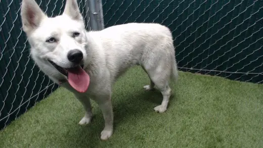 MARILYN