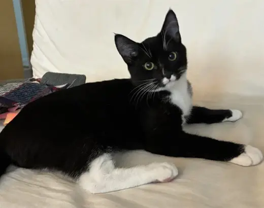 RICKY