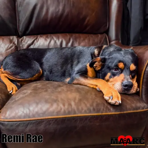 Remi Rae
