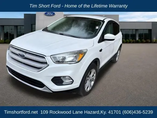 Ford Escape 2019 AWD SE 4dr SUV