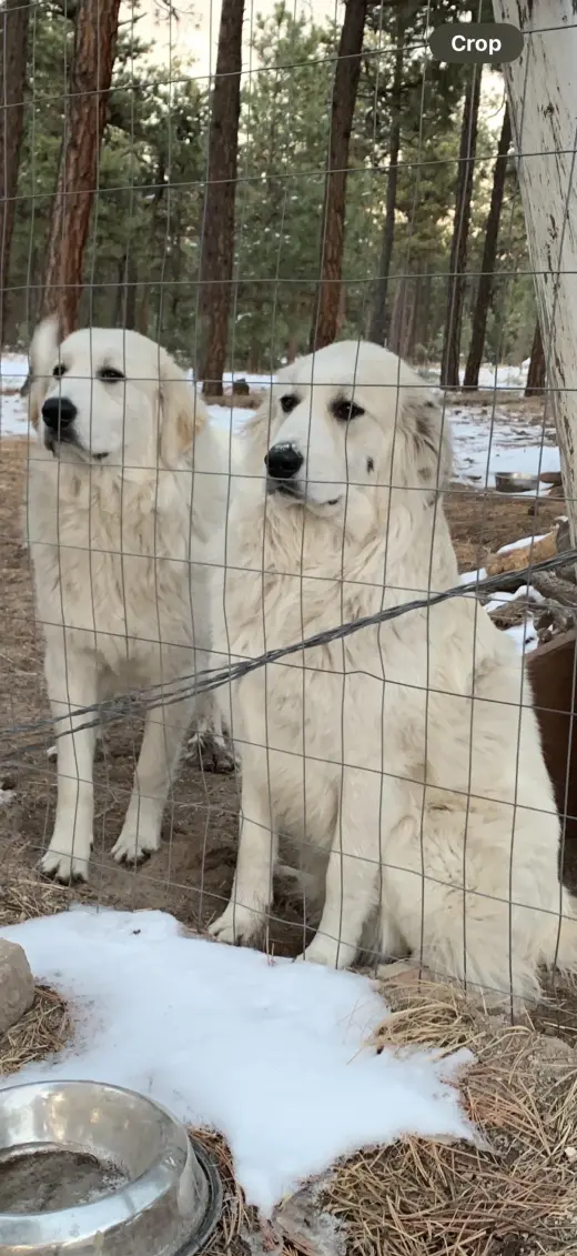 Maggie & Lilly