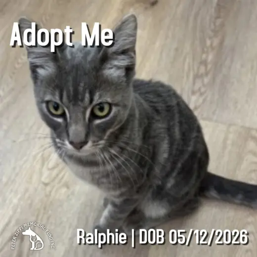 Ralphie